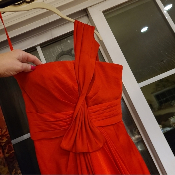 Dress Is A Stunner! - Picture 13 of 13